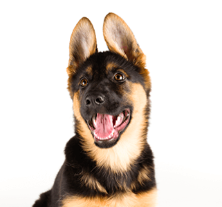 Chovatelské potřeby Brno